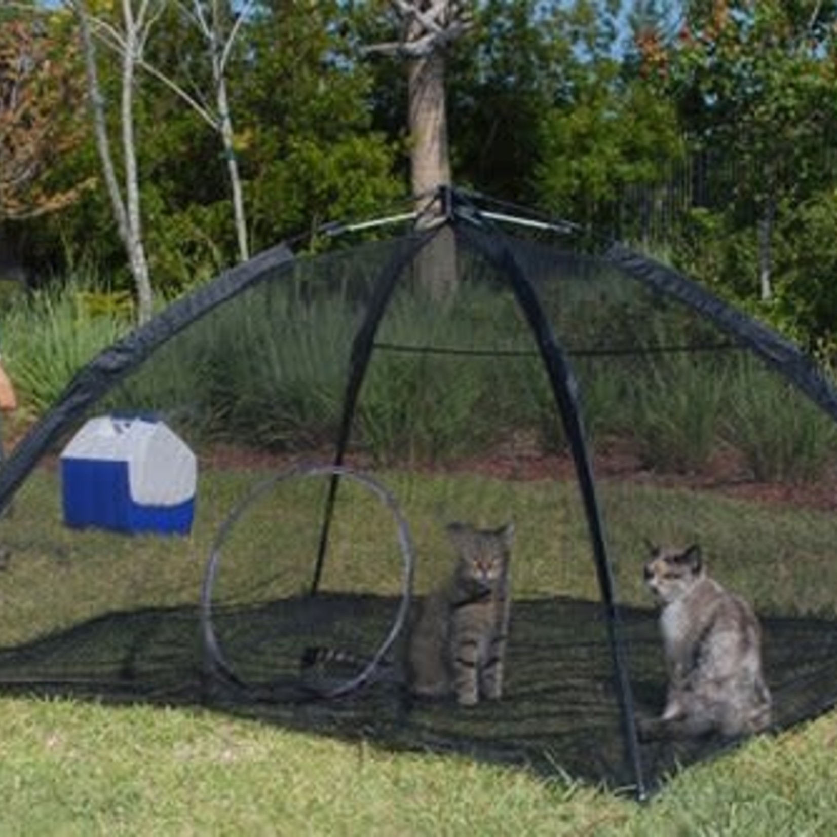 Outback Jack Happy Habitat Cat Playpen Tent