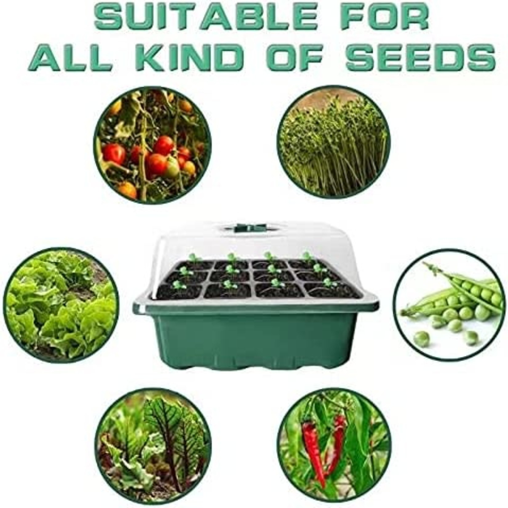 Seedling Tray- 5 Each- 12 Cells Per Starter