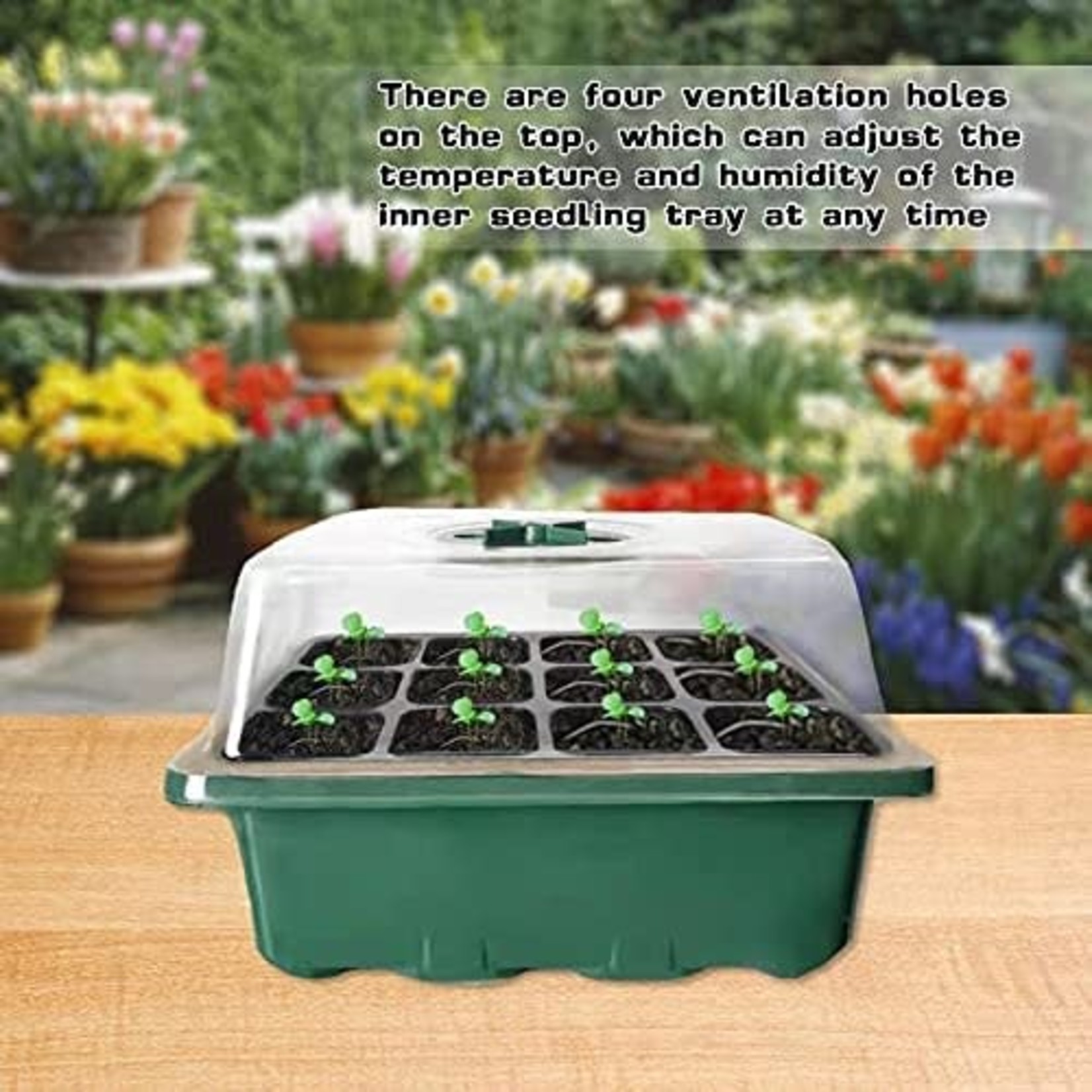 Seedling Tray- 5 Each- 12 Cells Per Starter