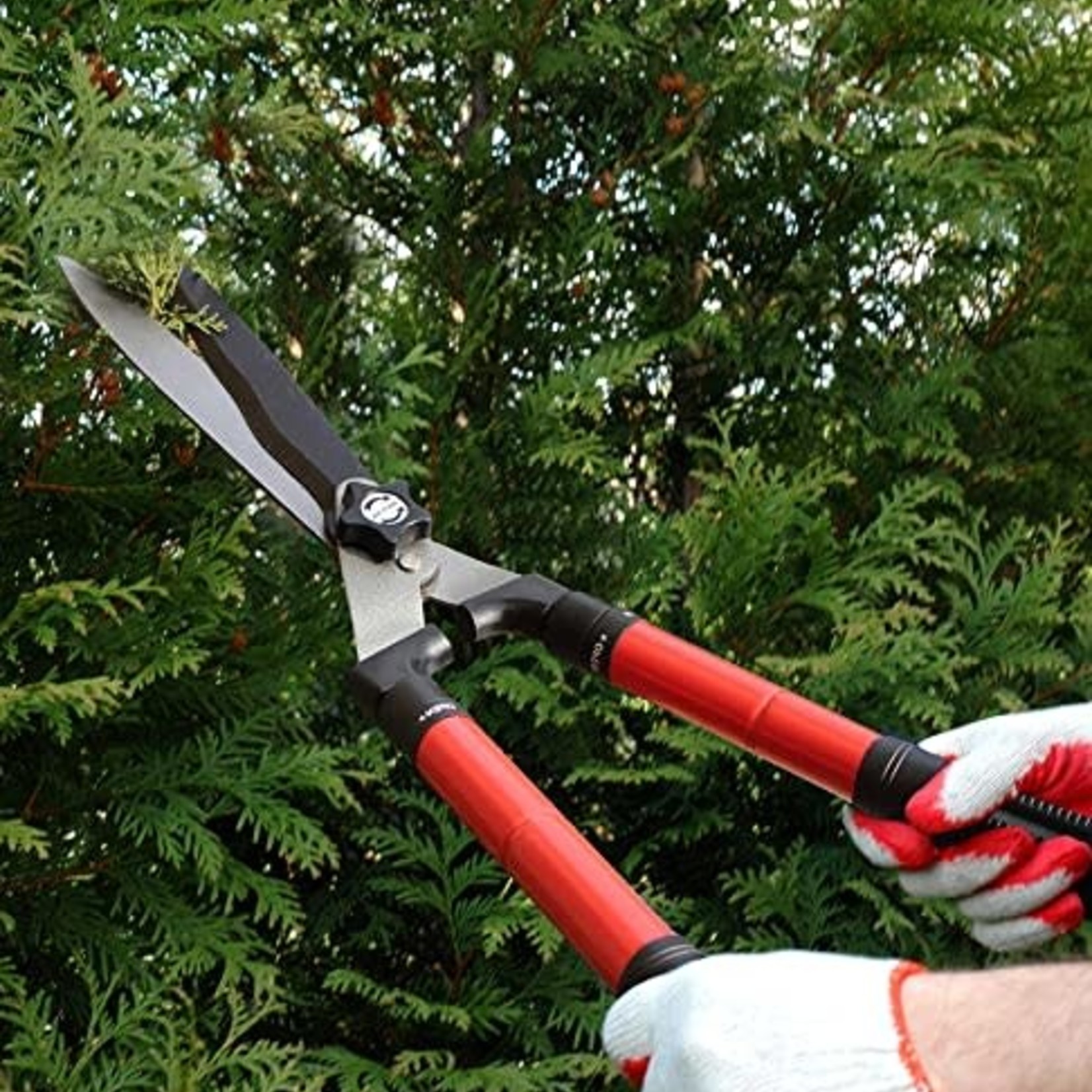 Tabor Tools Telescopic Hedge Shears- Red