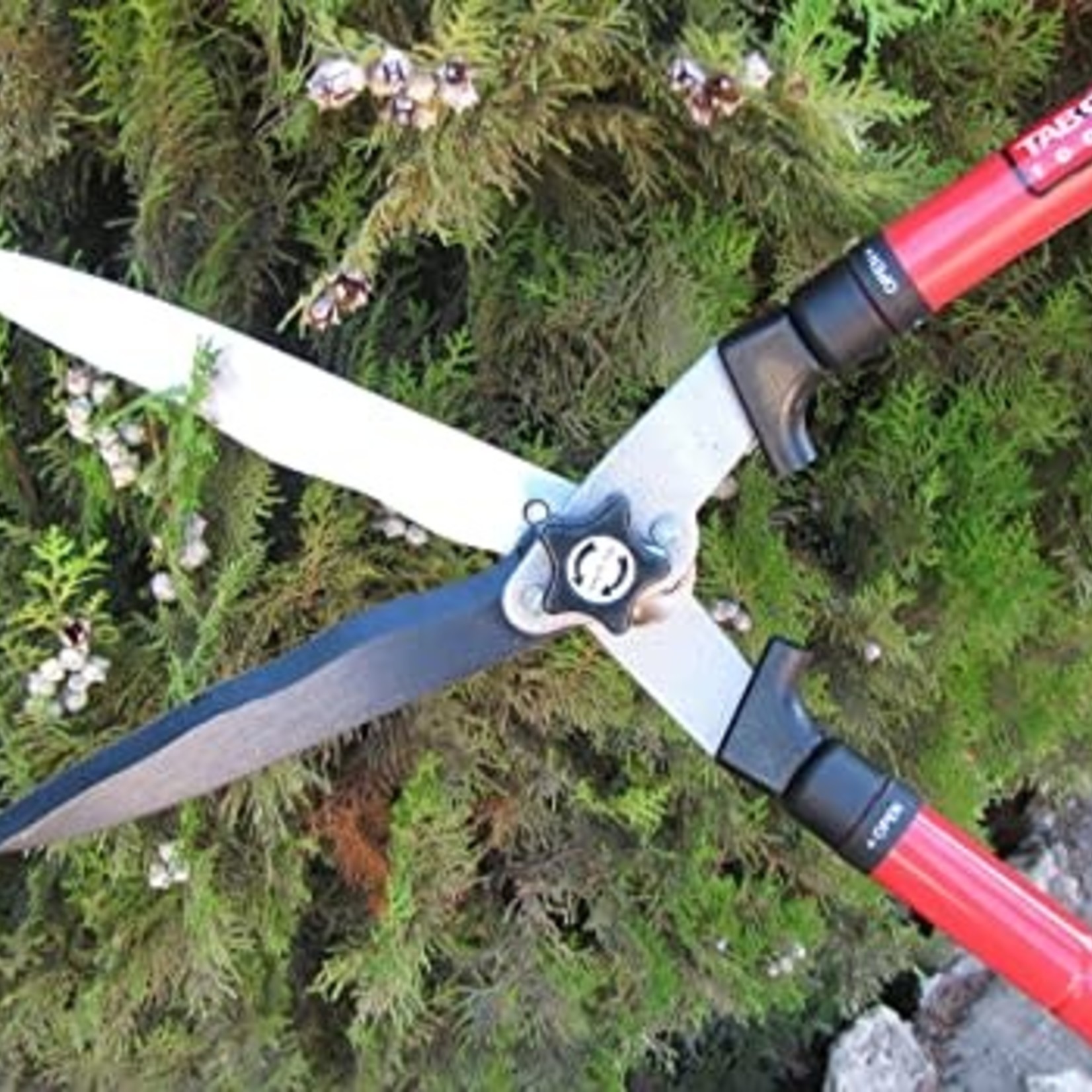 Tabor Tools Telescopic Hedge Shears- Red