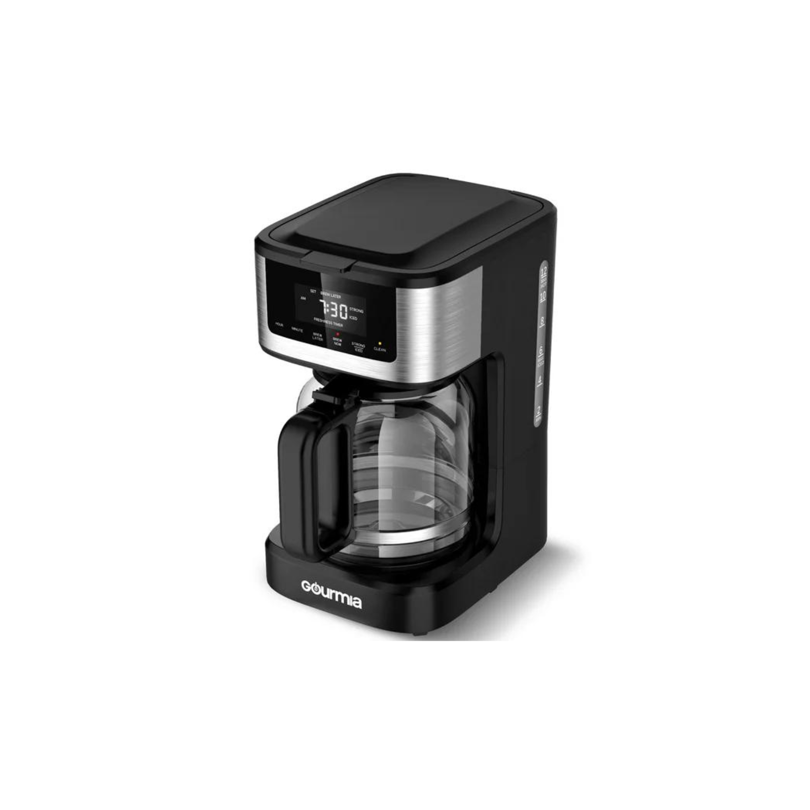 Gourmia Programmable 12-Cup Hot & Iced Coffee Maker, Stainless Steel