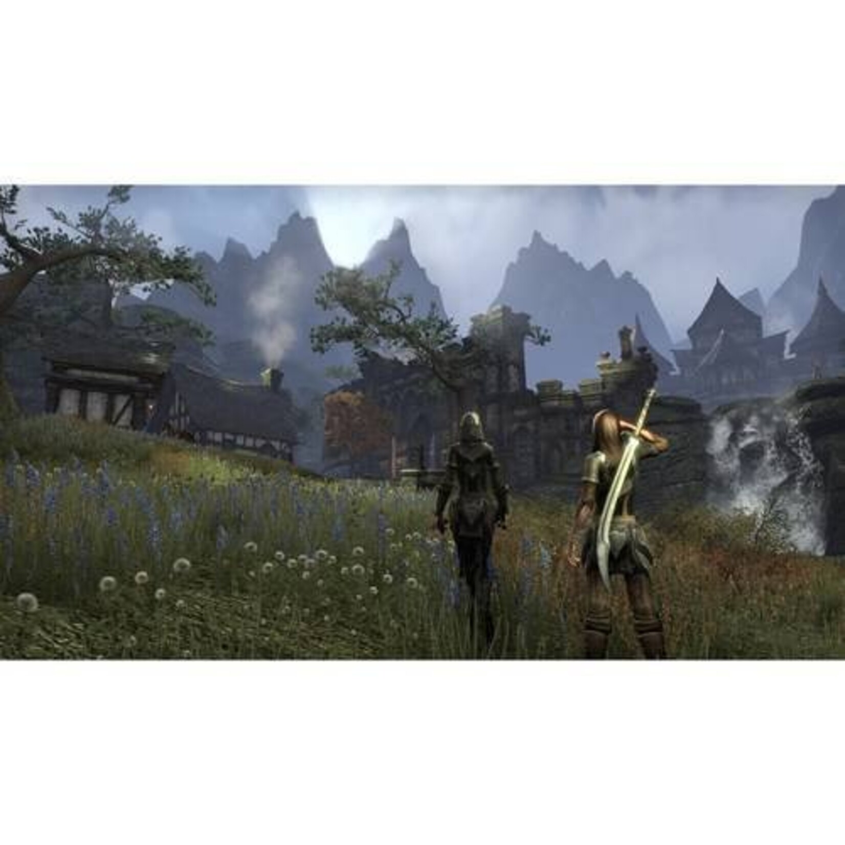 Dvd The Elder Scrolls - PC Game