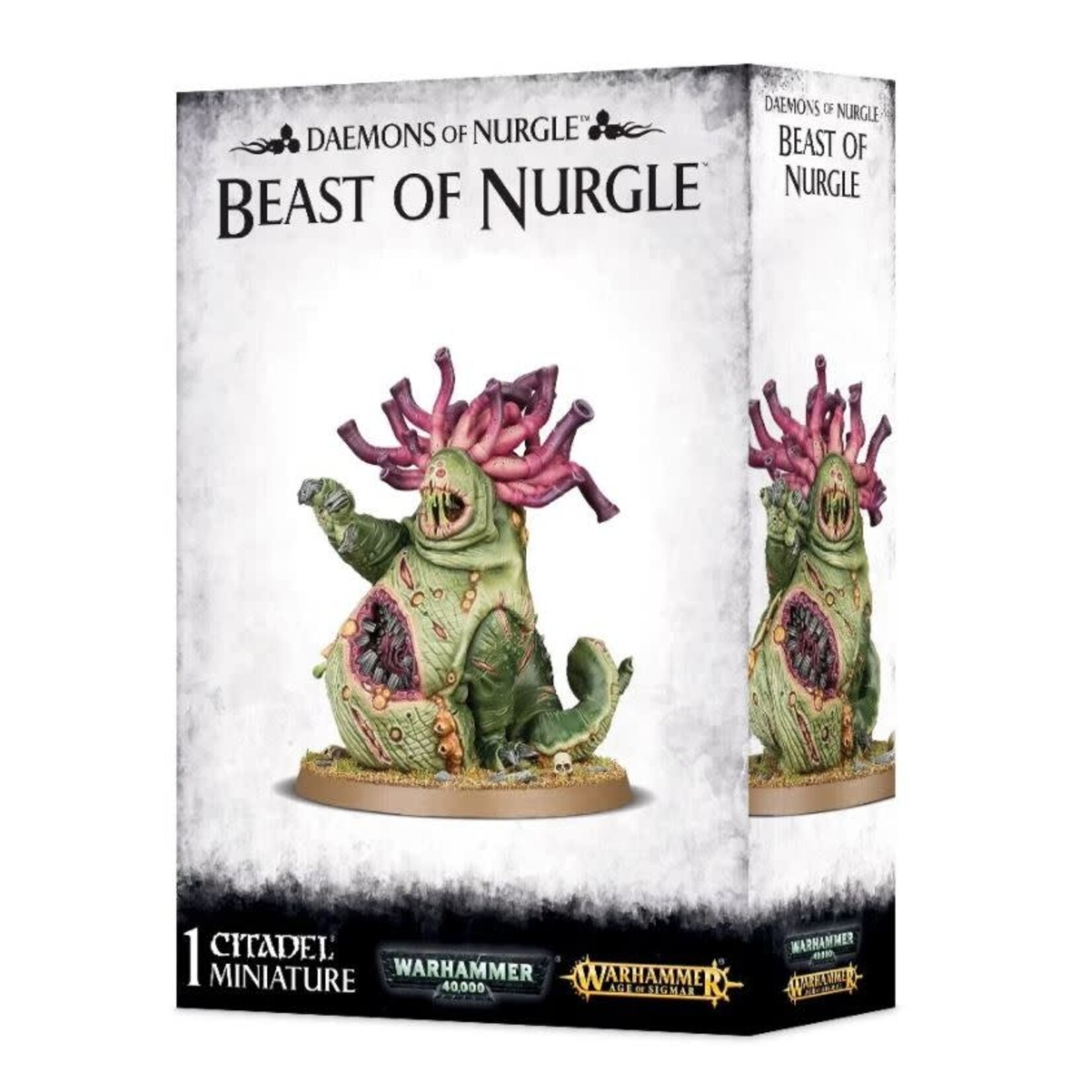 Games Workshop Beast of Nurgle - Daemons of Nurgle - Warhammer Age of Sigmar