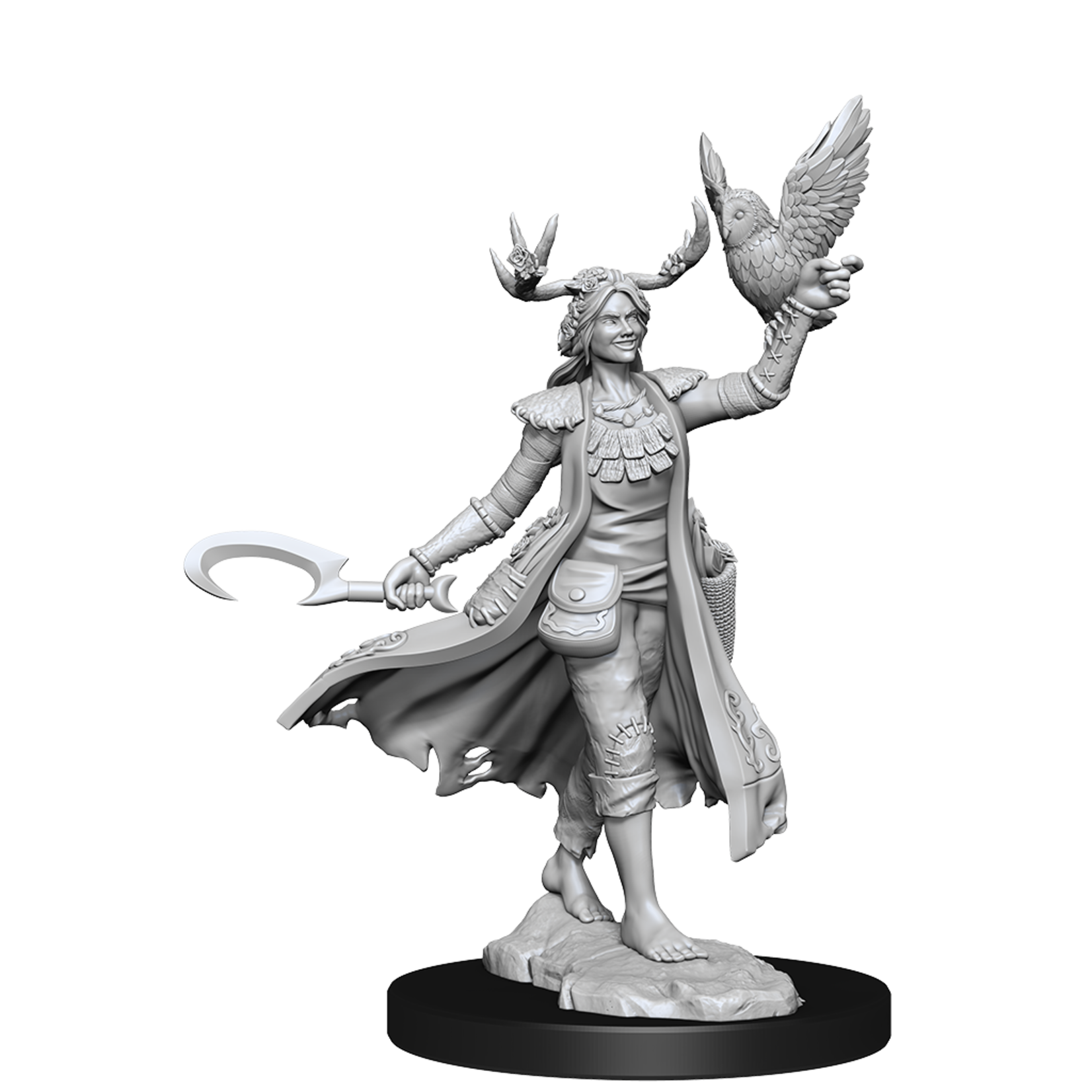 WizKids Human Druid (Female) - D&D FRameworks - WizKids