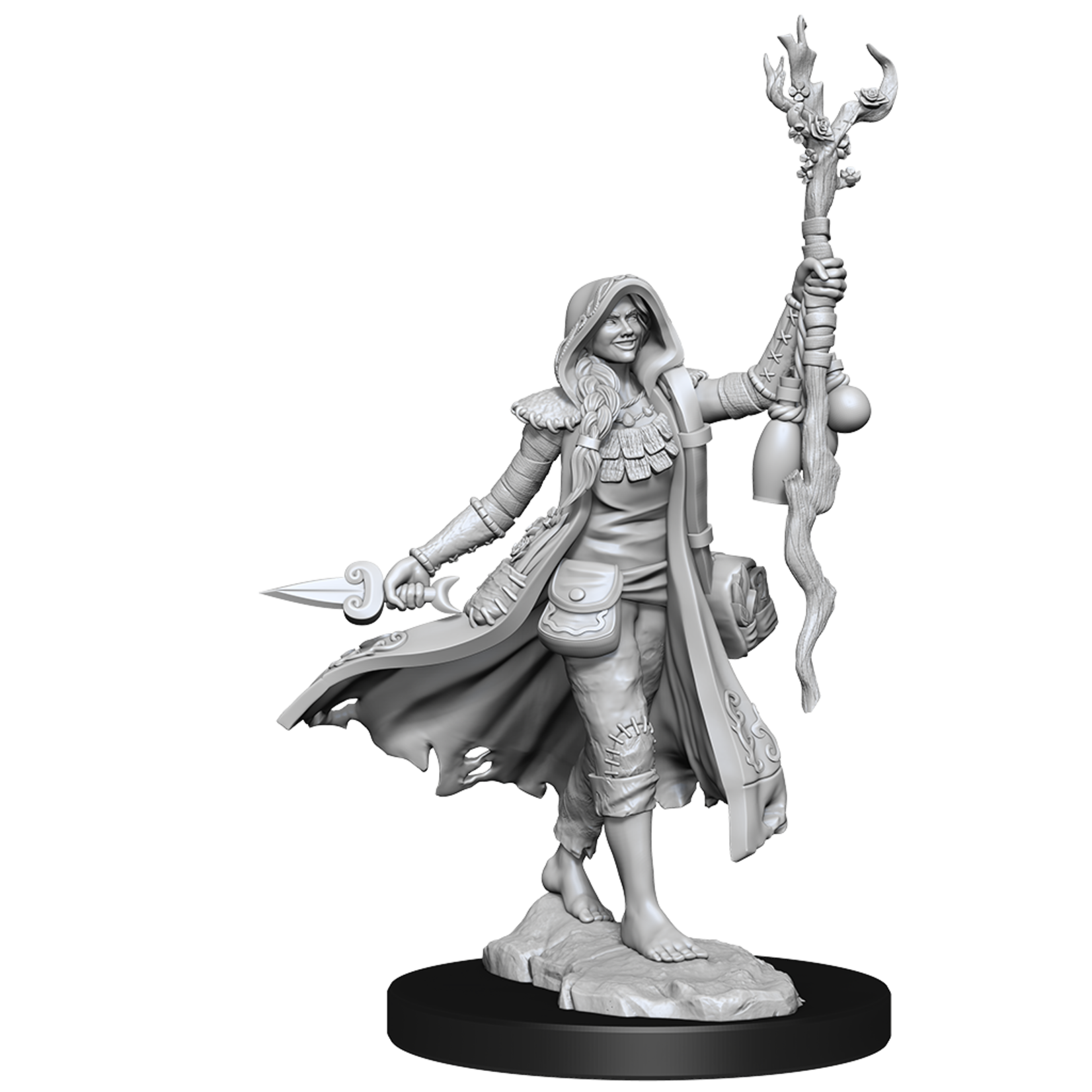 WizKids Human Druid (Female) - D&D FRameworks - WizKids