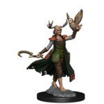 WizKids Human Druid (Female) - D&D FRameworks - WizKids