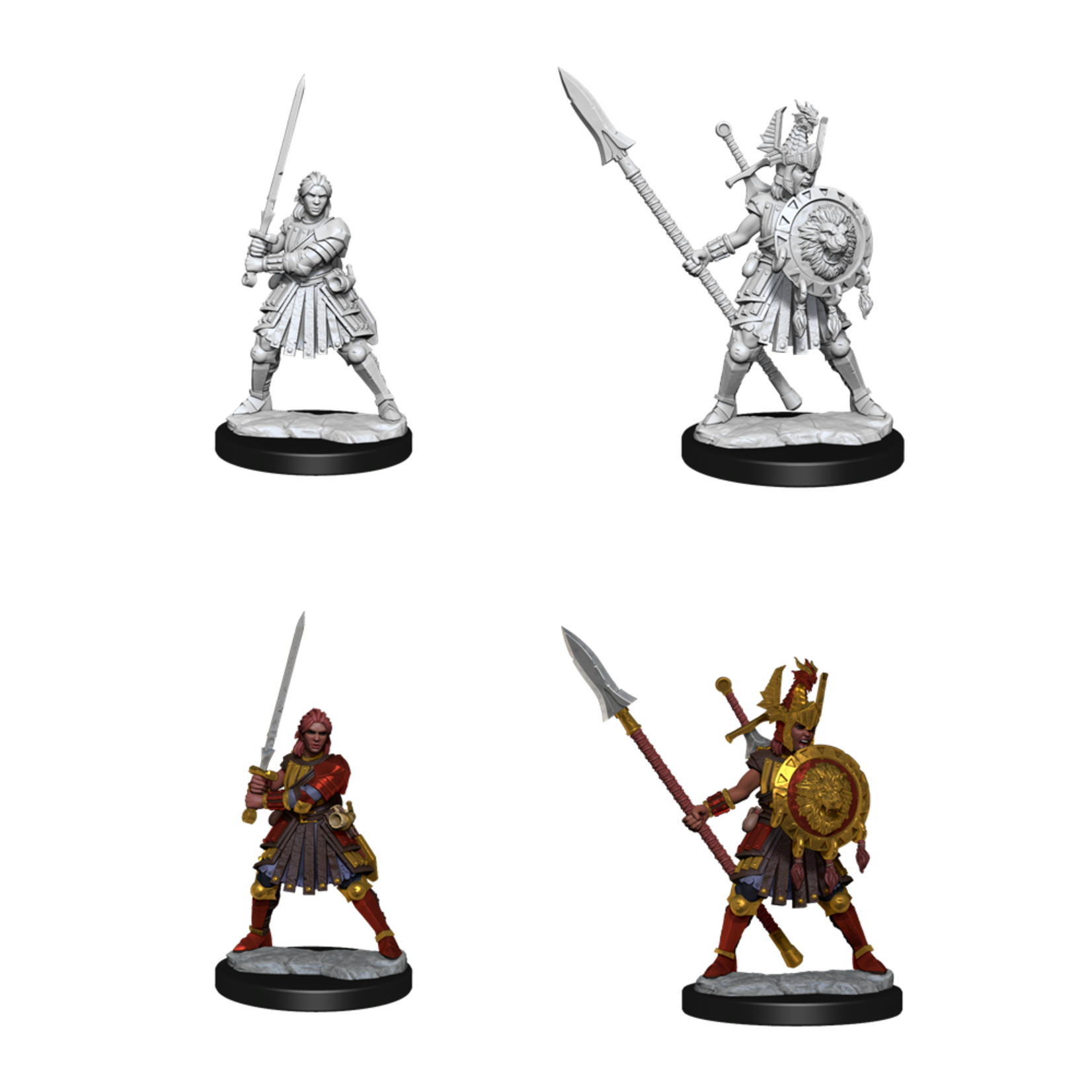 WizKids Human Fighter (Female) - D&D Frameworks - WizKids