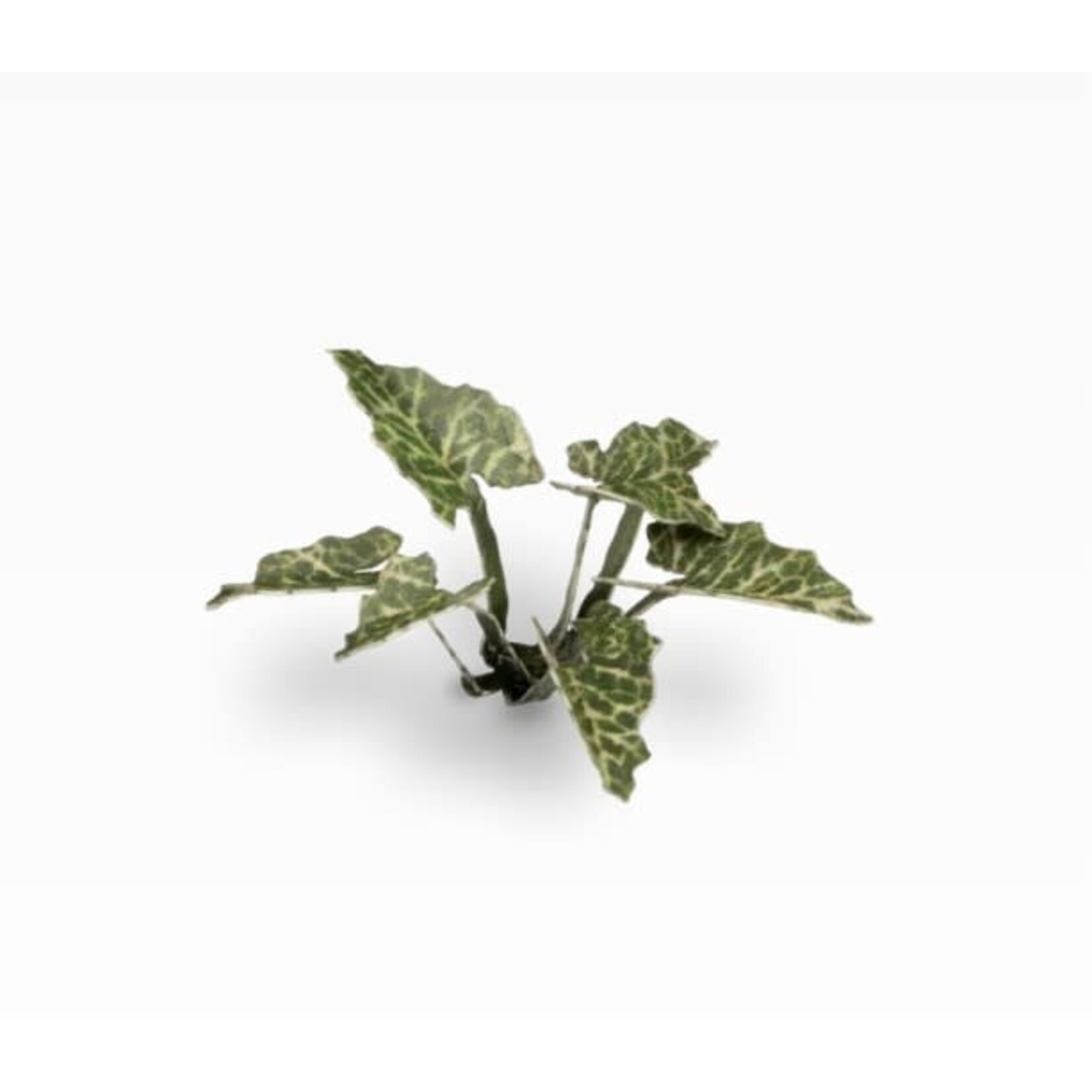 Gamers Grass Lords and Ladies - Laser Plants - Gamers Grass