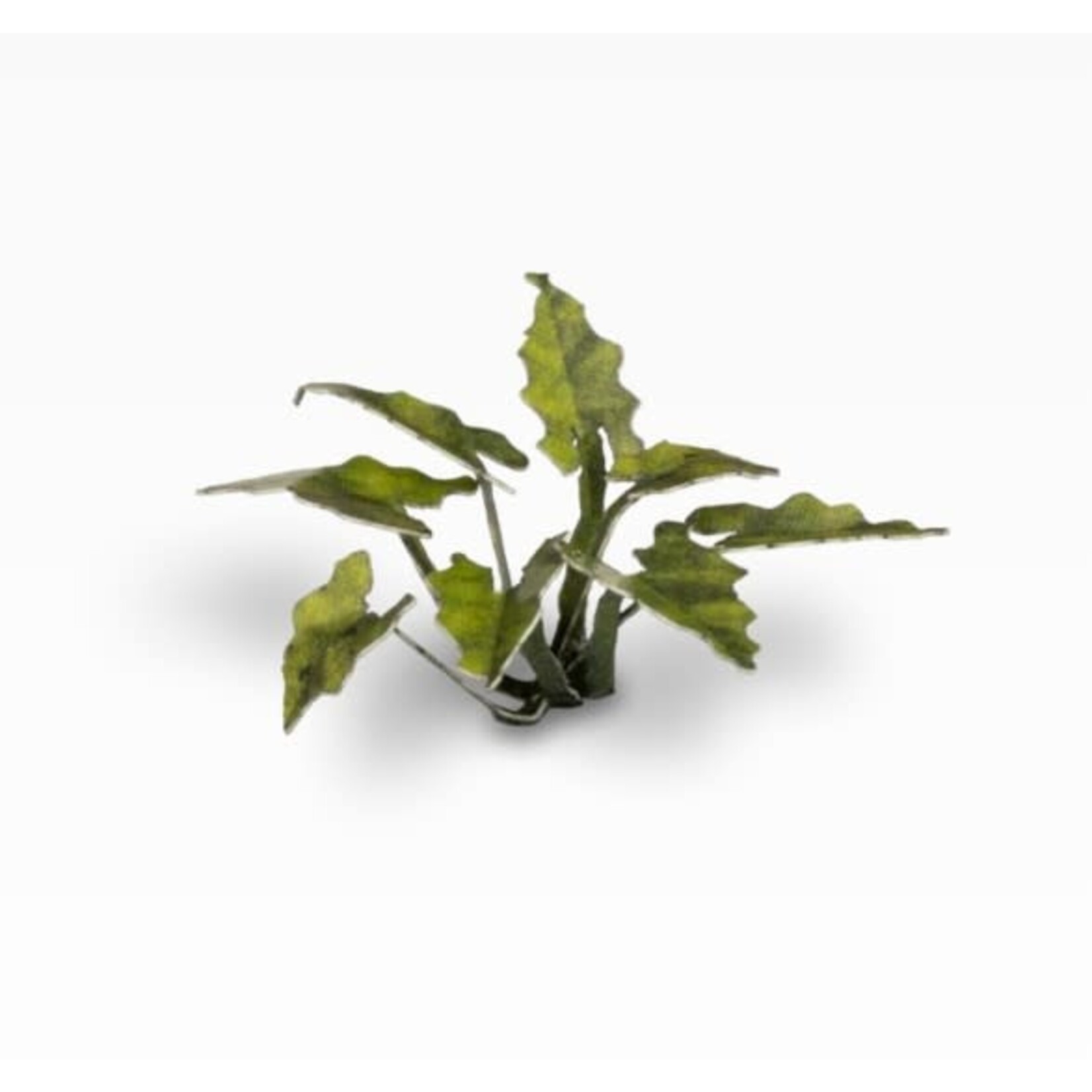 Gamers Grass Lords and Ladies - Laser Plants - Gamers Grass