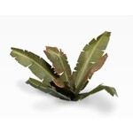 Gamers Grass Banana Tree - Laser Plants - Gamers Grass