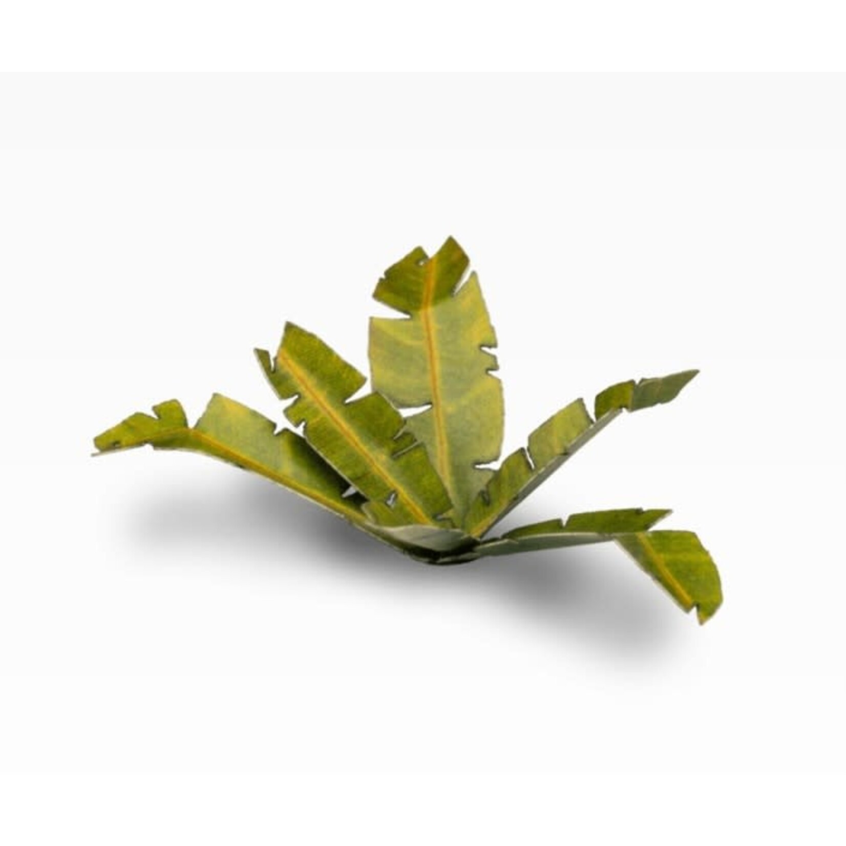 Gamers Grass Banana Tree - Laser Plants - Gamers Grass