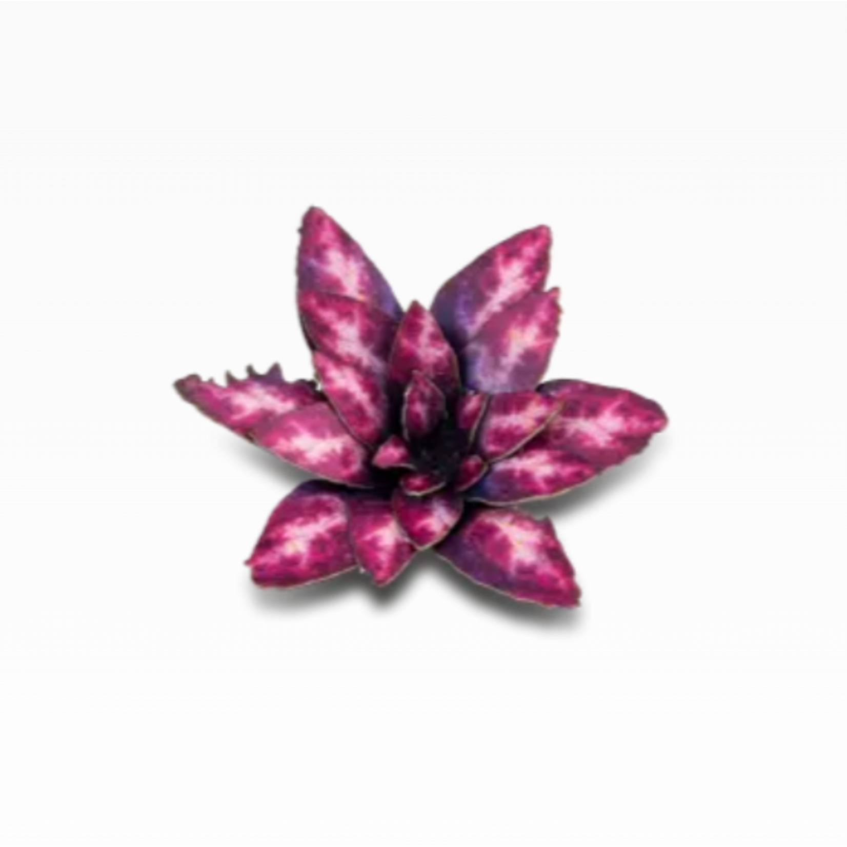 Gamers Grass Alien Rosette - Laser Plants - Gamers Grass