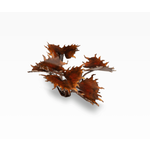 Gamers Grass Alien Flytrap - Laser Plants - Gamers Grass