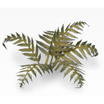 Gamers Grass Bracken - Laser Plants - Gamers Grass