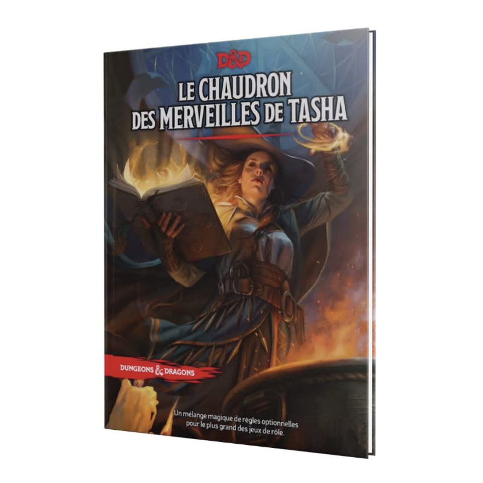 La chaudron des merveilles de Tasha (FR)