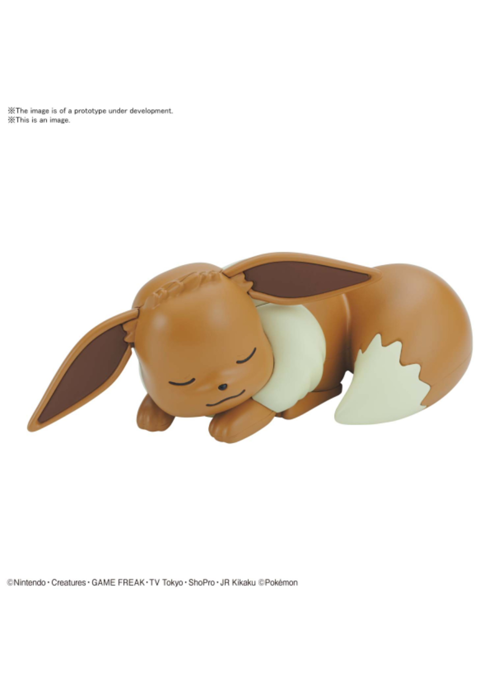Bandai Eevee/Evoli (Sleeping pose) Model Kit QUICK!! - Bandai