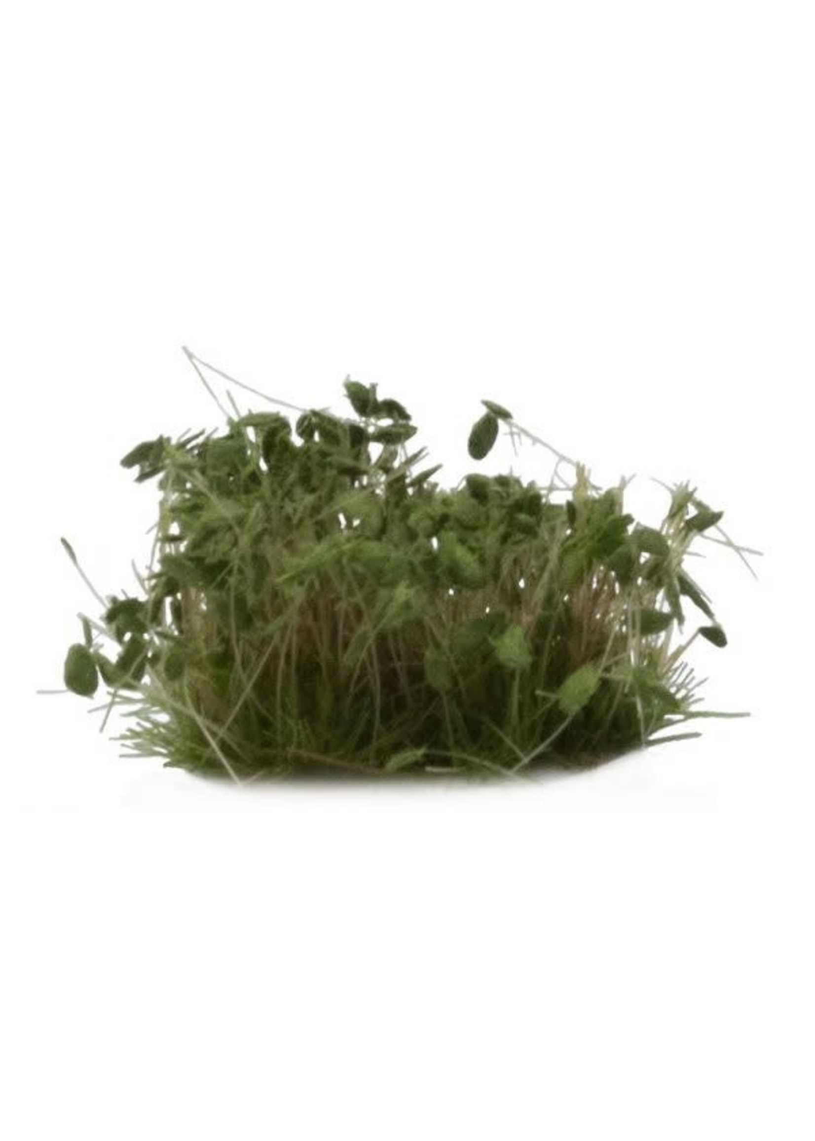 Gamers Grass - Green Meadow Set (GGSET-GM