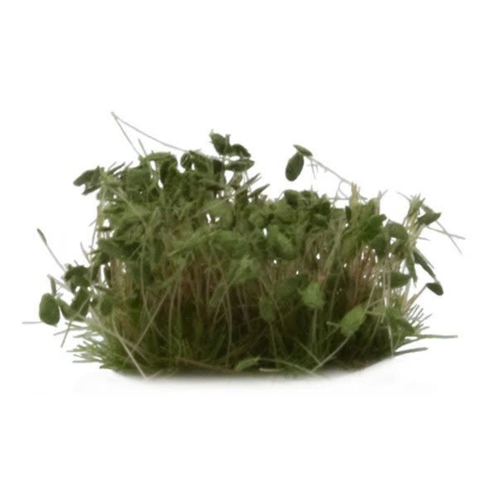Gamers Grass Dark Green Shrubs - Gamers Grass