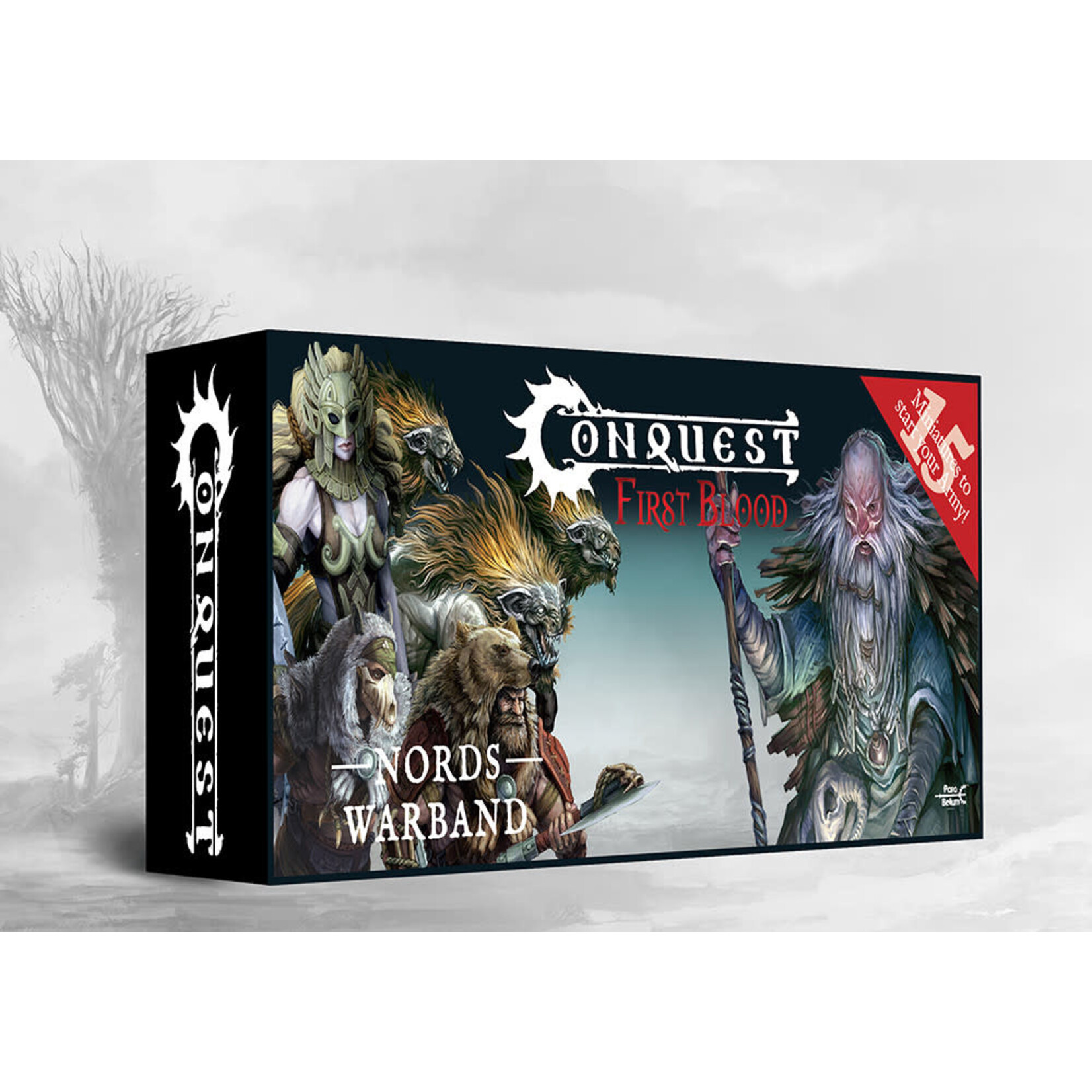 Para Bellum Games Nords First Blood Warband - Conquest