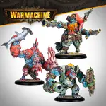 Steamforged Games Brineblood Marauders Battlegroup Box -Southern Kriels - Warmachine