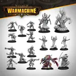 Steamforged Games Shadowflame Shard Core - Khymaera - Warmachine