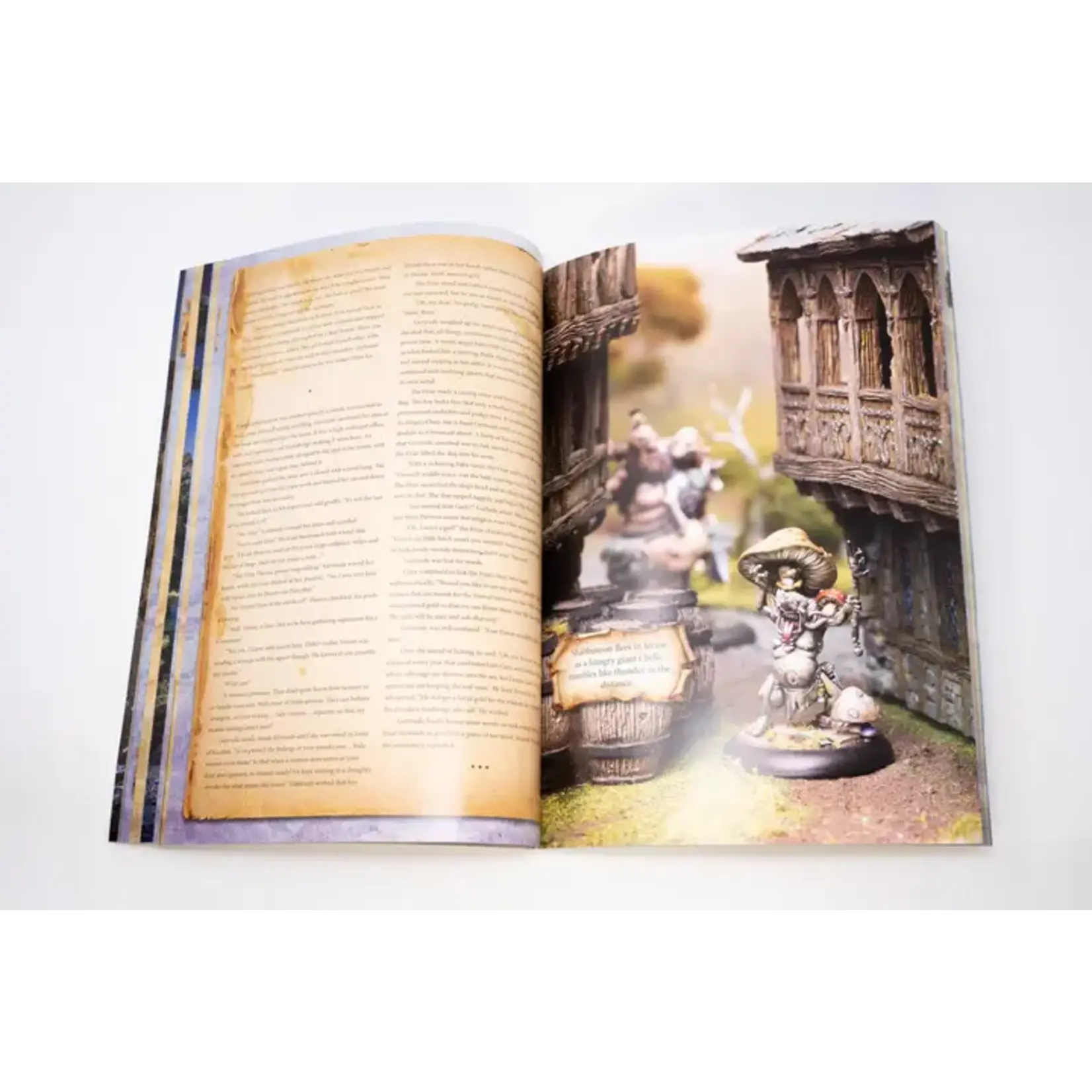 Goblin King Games The Arising Expansion Book - Moonstone (ENG)