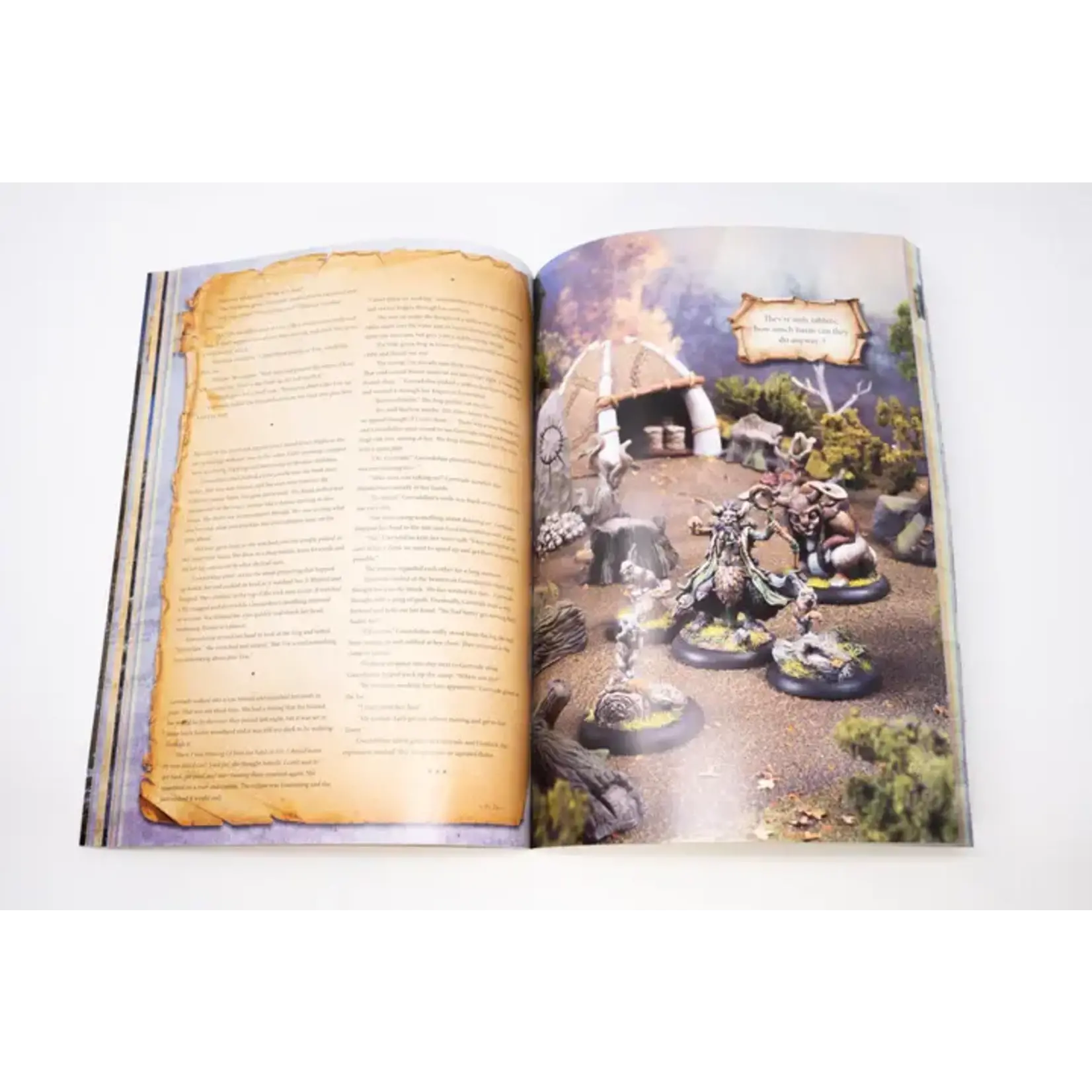 Goblin King Games The Arising Expansion Book - Moonstone (ENG)