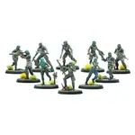 Modiphius The Disciples - Raiders - Fallout: Wasteland Warfare & Fallout: Factions