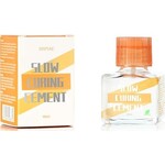 Slow Curing Cement 40 ml - DSPIAE