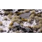 Gamers Grass Winter 5mm Tufts - Gamers Grass