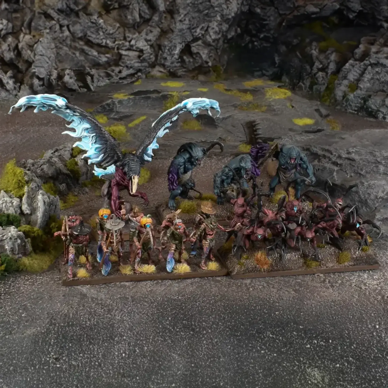 Mantic The Voidtalon Company Box - Kings of War Champions