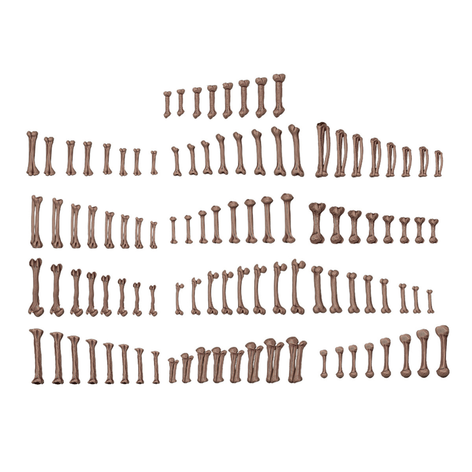 Human Bones - AK Basing Bits