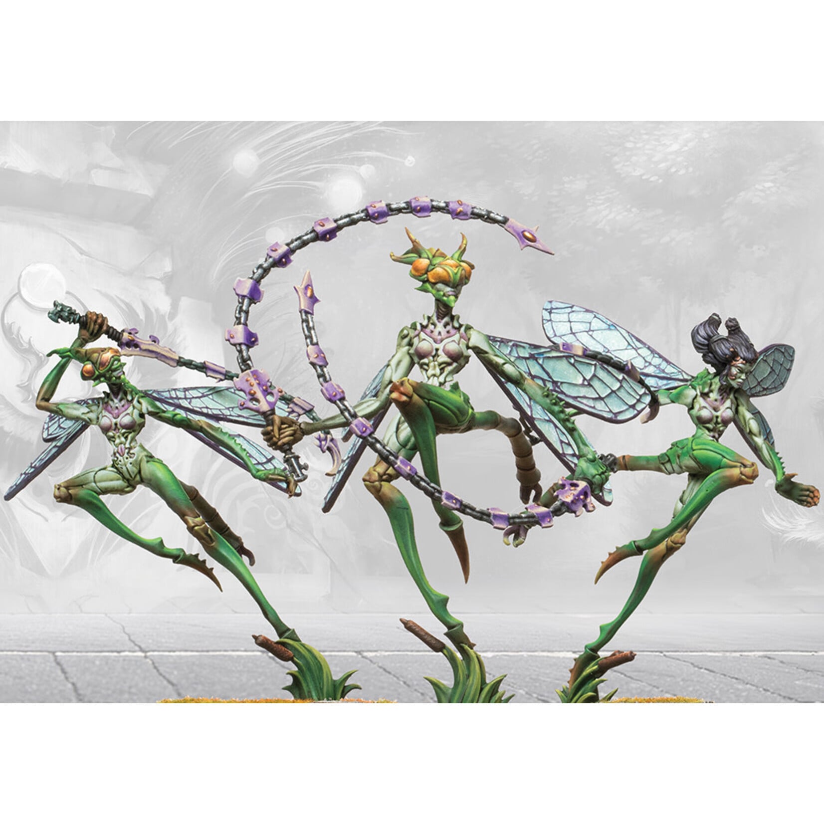 Para Bellum Games Weaver Courts 2026 One Player Starter Set - Conquest