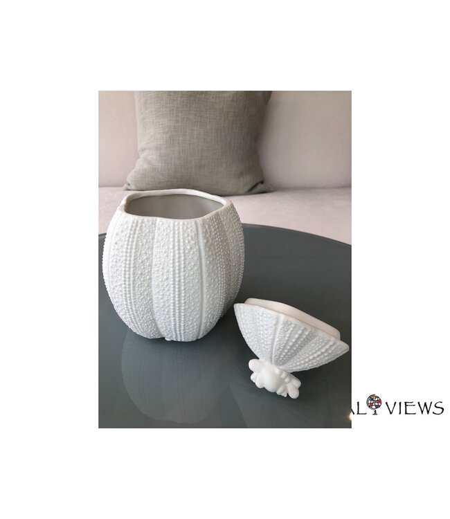 URCHIN POT WITH LID- BISQUE WHITE.