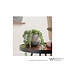 WESTHILL INTERIORS PALMA PLANTER.