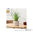 WESTHILL INTERIORS ALDER BARK VASE 5x4.25.