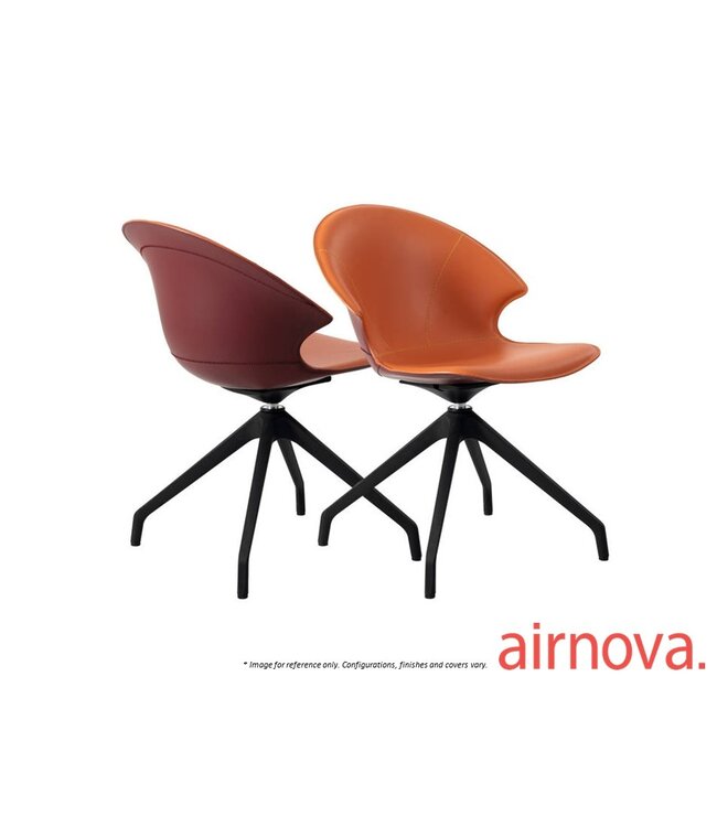 LOLITA DINING CHAIR.