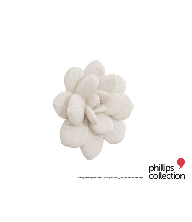 LAUI SUCCULENT WALL ART.