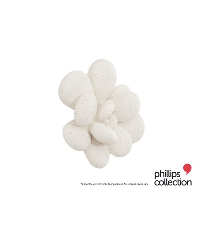 OVIFERUM SUCCULENT WALL ART.