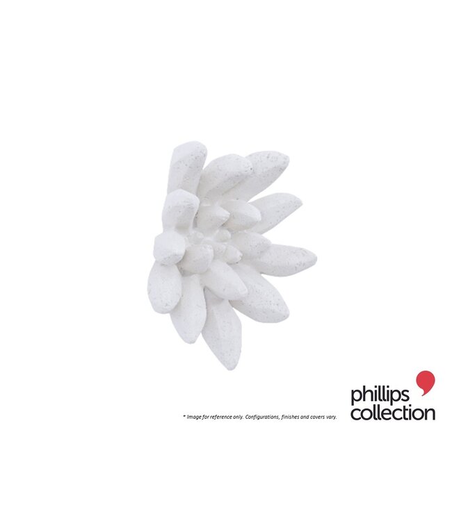 COMPACTUM SUCCULENT WALL ART.