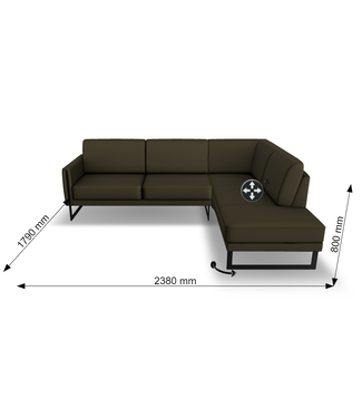 COCO LEATHER SECTIONAL.