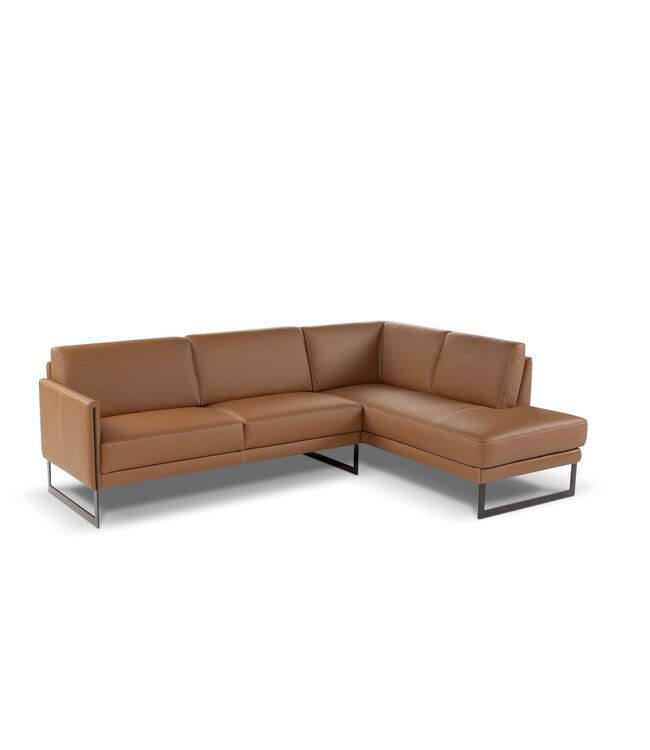 COCO LEATHER SECTIONAL.