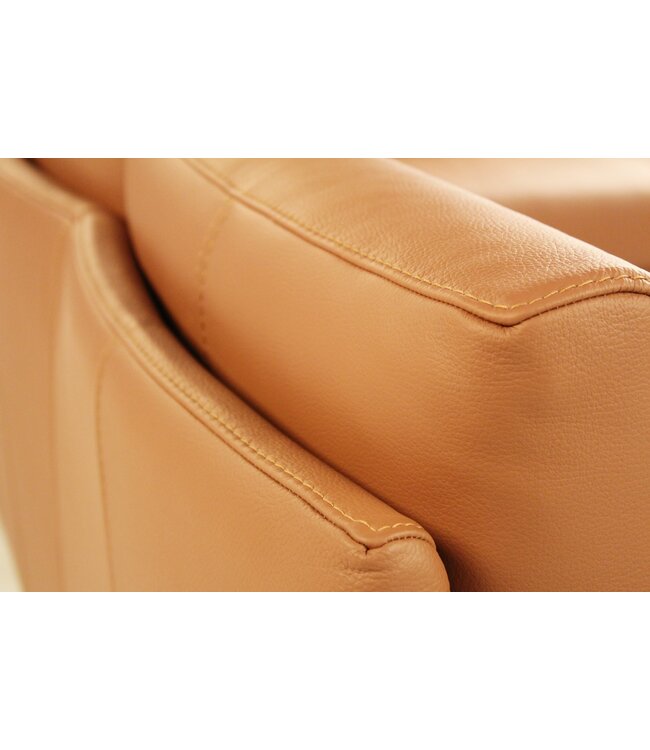 COCO LEATHER SECTIONAL.