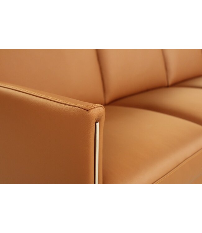 COCO LEATHER SECTIONAL.