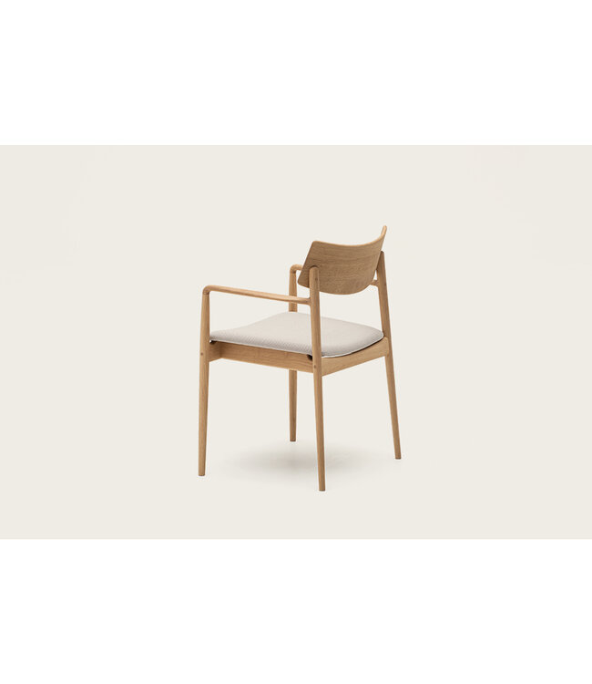 A-DC02 DINING CHAIR