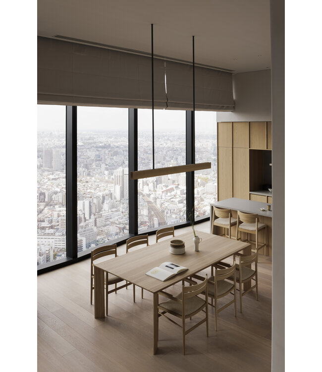 N-DC04  DINING CHAIR