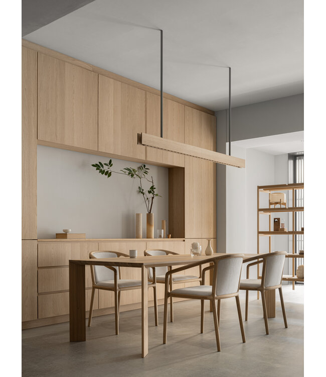 NF–DC01 DINING CHAIR