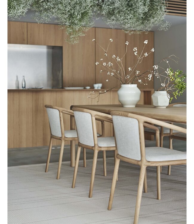 NF–DC01 DINING CHAIR