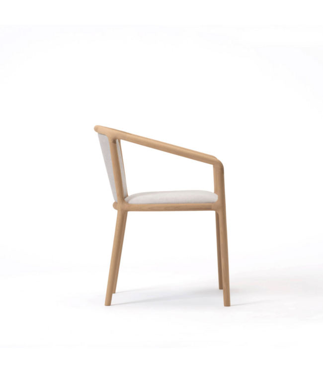 NF–DC01 DINING CHAIR